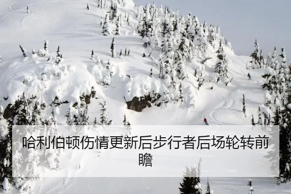 哈利伯顿伤情更新后步行者后场轮转前瞻